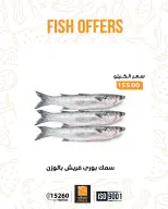 الانتقال إلى الصفحة 3 من 17