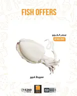 الانتقال إلى الصفحة 8 من 17