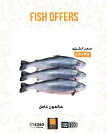 الانتقال إلى الصفحة 7 من 17