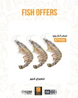 الانتقال إلى الصفحة 6 من 17