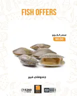 الانتقال إلى الصفحة 5 من 17