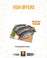 الانتقال إلى الصفحة 10 من 17