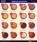 الانتقال إلى الصفحة 16 من 42