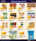 الانتقال إلى الصفحة 11 من 42