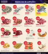 الانتقال إلى الصفحة 4 من 42