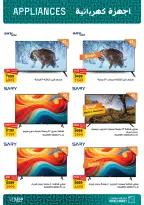 الانتقال إلى الصفحة 5 من 22