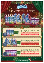 الانتقال إلى الصفحة 66 من 76