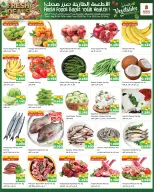 الانتقال إلى الصفحة 16 من 16