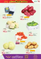 الانتقال إلى الصفحة 21 من 65