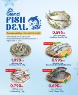 الانتقال إلى الصفحة 1 من 1