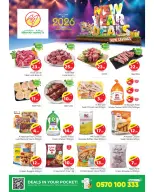 الانتقال إلى الصفحة 11 من 12