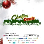 الانتقال إلى الصفحة 4 من 4