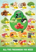 الانتقال إلى الصفحة 2 من 24