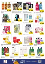 الانتقال إلى الصفحة 11 من 24