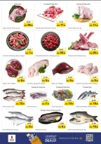 الانتقال إلى الصفحة 3 من 24