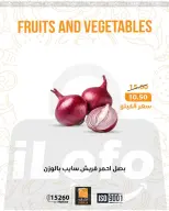 الانتقال إلى الصفحة 2 من 28