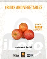 الانتقال إلى الصفحة 4 من 28