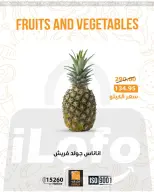 الانتقال إلى الصفحة 7 من 28