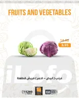 الانتقال إلى الصفحة 1 من 28