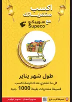 الانتقال إلى الصفحة 8 من 8