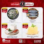 الانتقال إلى الصفحة 4 من 5