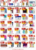 الانتقال إلى الصفحة 22 من 45