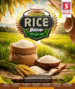 الانتقال إلى الصفحة 1 من 11