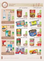 الانتقال إلى الصفحة 13 من 29