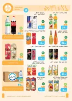 الانتقال إلى الصفحة 18 من 29