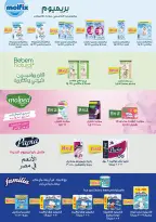 الانتقال إلى الصفحة 28 من 29