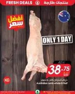 الانتقال إلى الصفحة 4 من 8