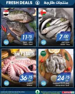 الانتقال إلى الصفحة 5 من 8