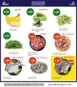 الانتقال إلى الصفحة 2 من 12