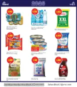 الانتقال إلى الصفحة 3 من 12