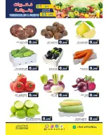 الانتقال إلى الصفحة 1 من 5