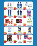 الانتقال إلى الصفحة 13 من 22