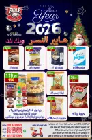 الانتقال إلى الصفحة 4 من 14