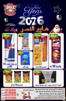 الانتقال إلى الصفحة 10 من 14