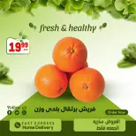 الانتقال إلى الصفحة 13 من 19