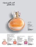 الانتقال إلى الصفحة 101 من 144