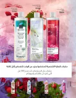 الانتقال إلى الصفحة 36 من 144