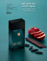 الانتقال إلى الصفحة 87 من 144