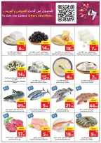 الانتقال إلى الصفحة 3 من 24