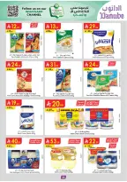 الانتقال إلى الصفحة 51 من 103