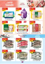 الانتقال إلى الصفحة 8 من 25