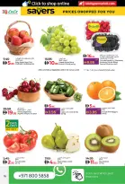 الانتقال إلى الصفحة 16 من 32