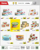 الانتقال إلى الصفحة 16 من 55