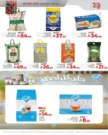 الانتقال إلى الصفحة 10 من 10