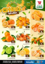 الانتقال إلى الصفحة 3 من 26