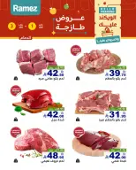 الانتقال إلى الصفحة 15 من 17